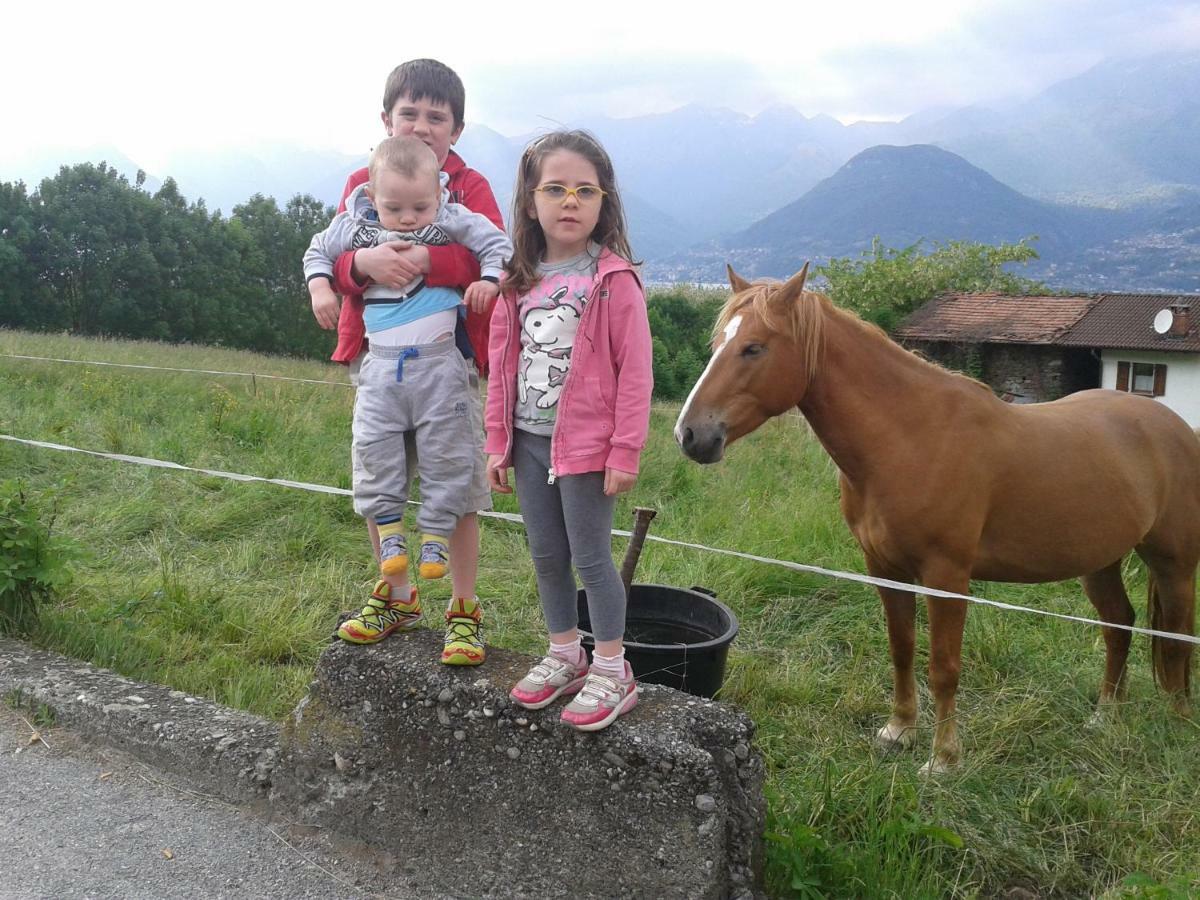 B&B Da-Di Colico Dış mekan fotoğraf